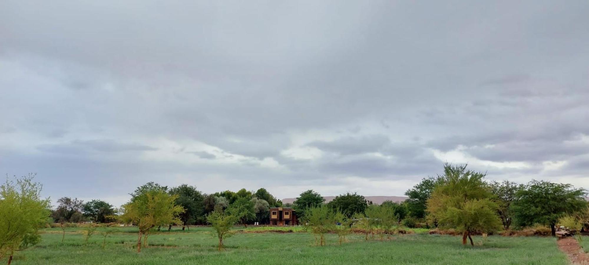 Foresta Atacama Lodge 산 페드로 데 아타카마 외부 사진