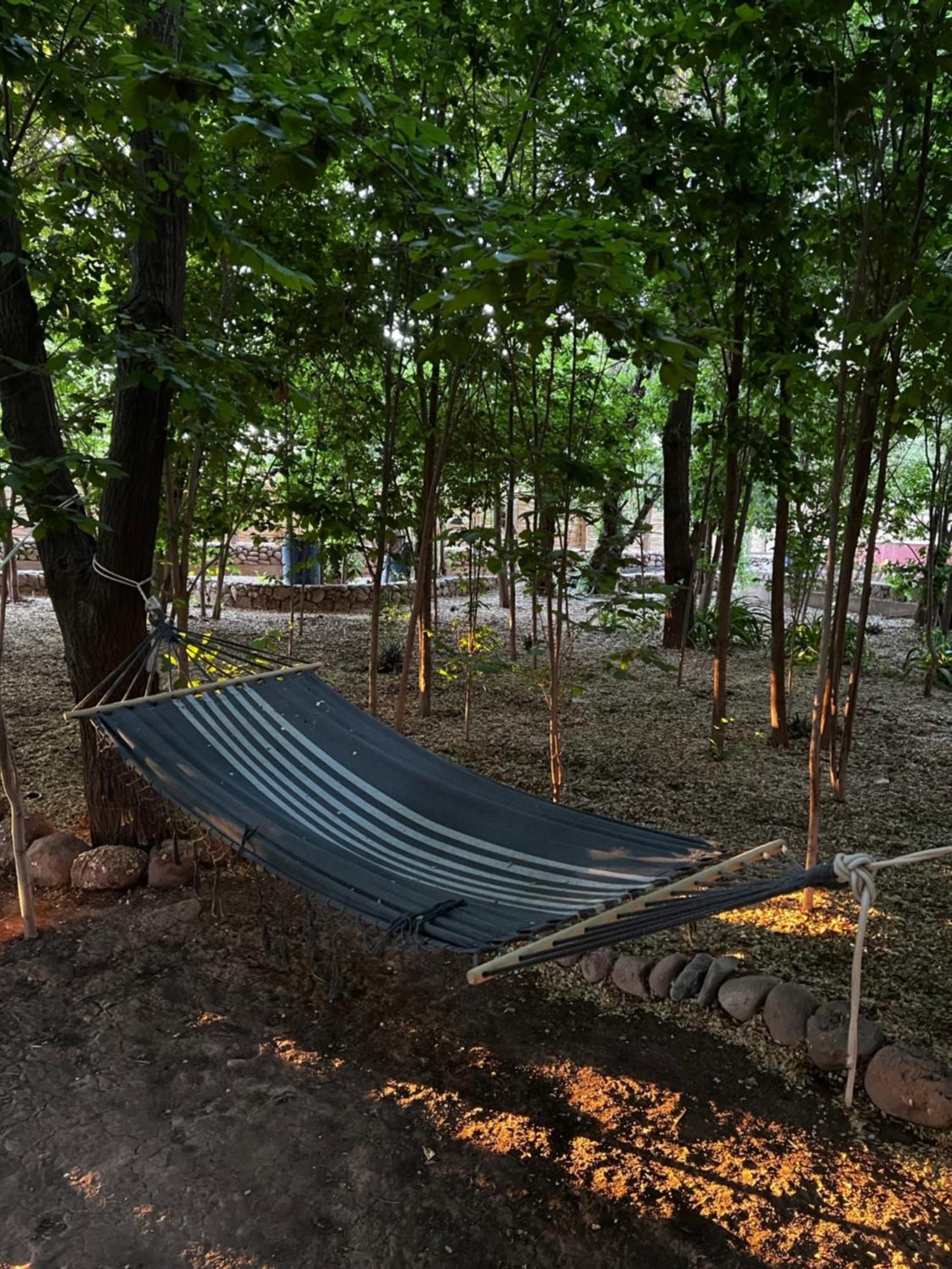 Foresta Atacama Lodge 산 페드로 데 아타카마 외부 사진