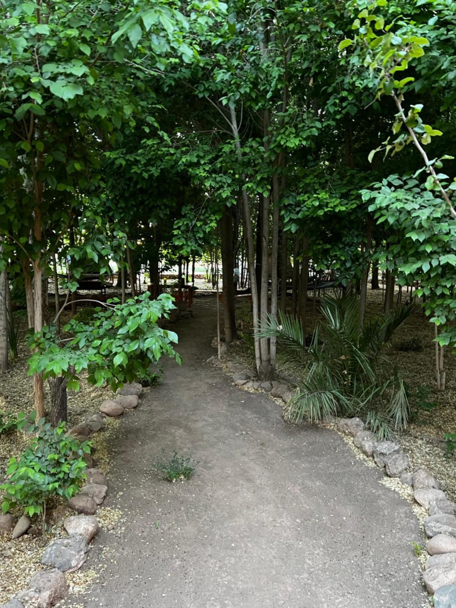 Foresta Atacama Lodge 산 페드로 데 아타카마 외부 사진